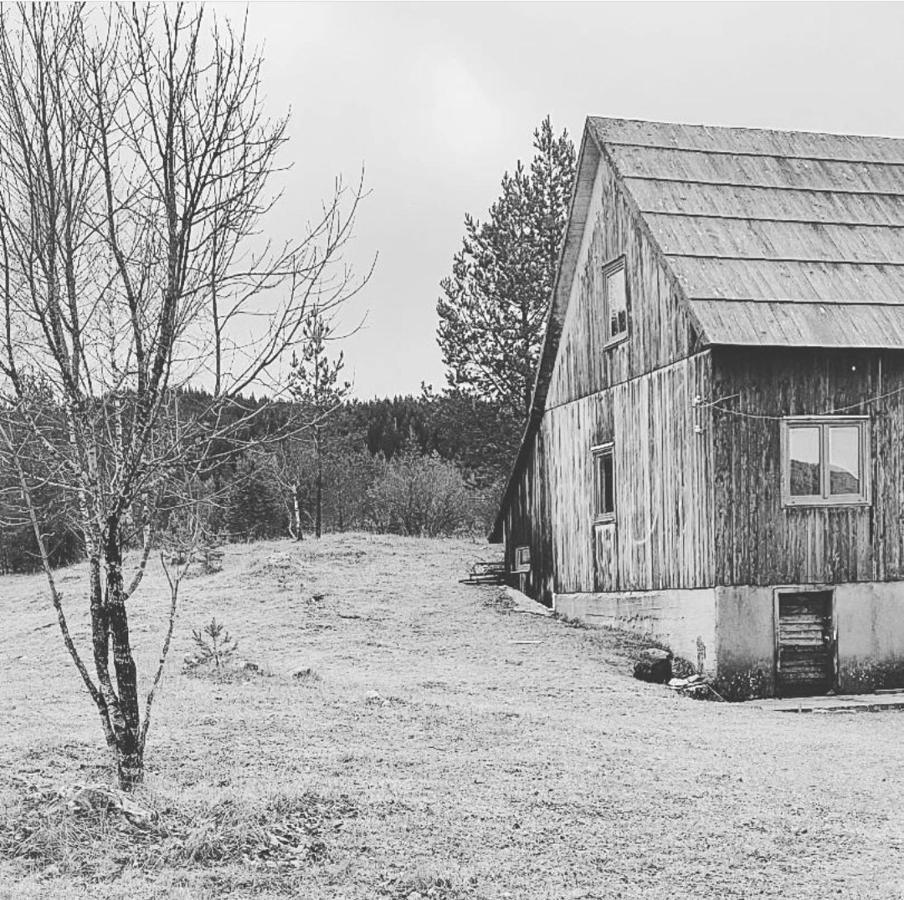 Vukov Konak - Wolf'S Lodge Žabljak Eksteriør billede