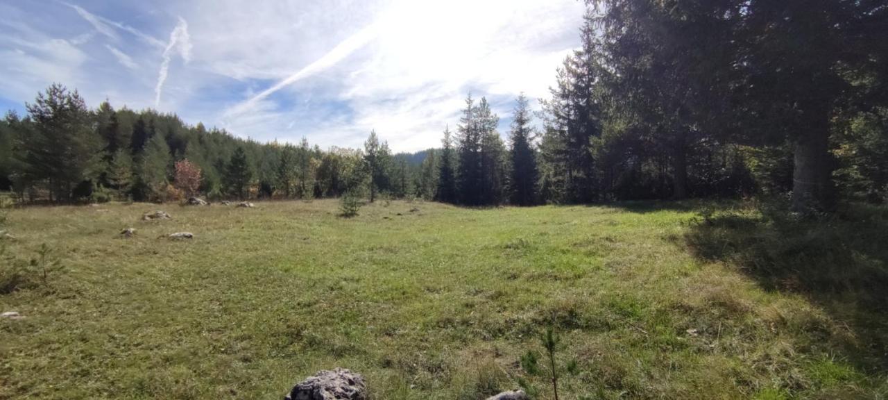 Vukov Konak - Wolf'S Lodge Žabljak Eksteriør billede