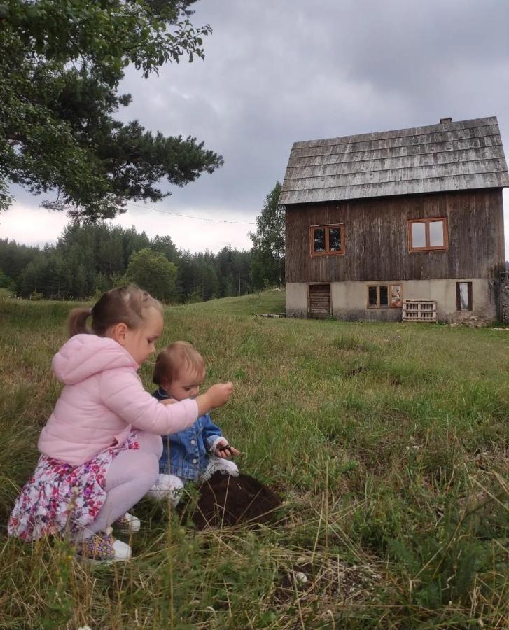 Vukov Konak - Wolf'S Lodge Žabljak Eksteriør billede