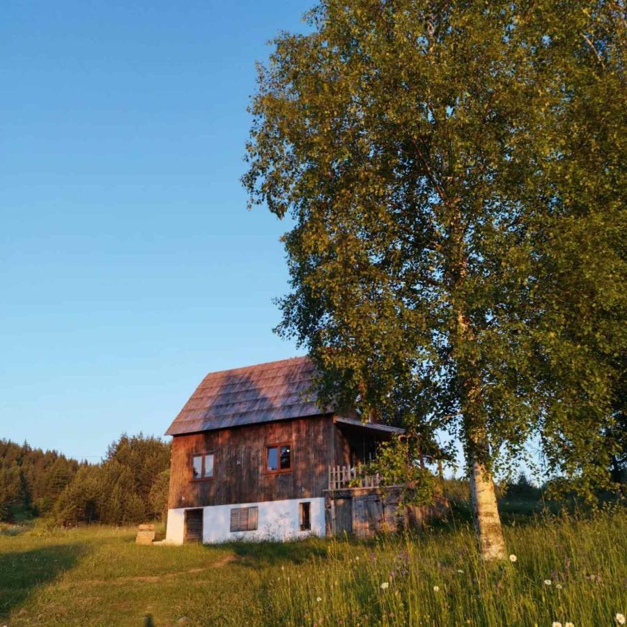 Vukov Konak - Wolf'S Lodge Žabljak Eksteriør billede