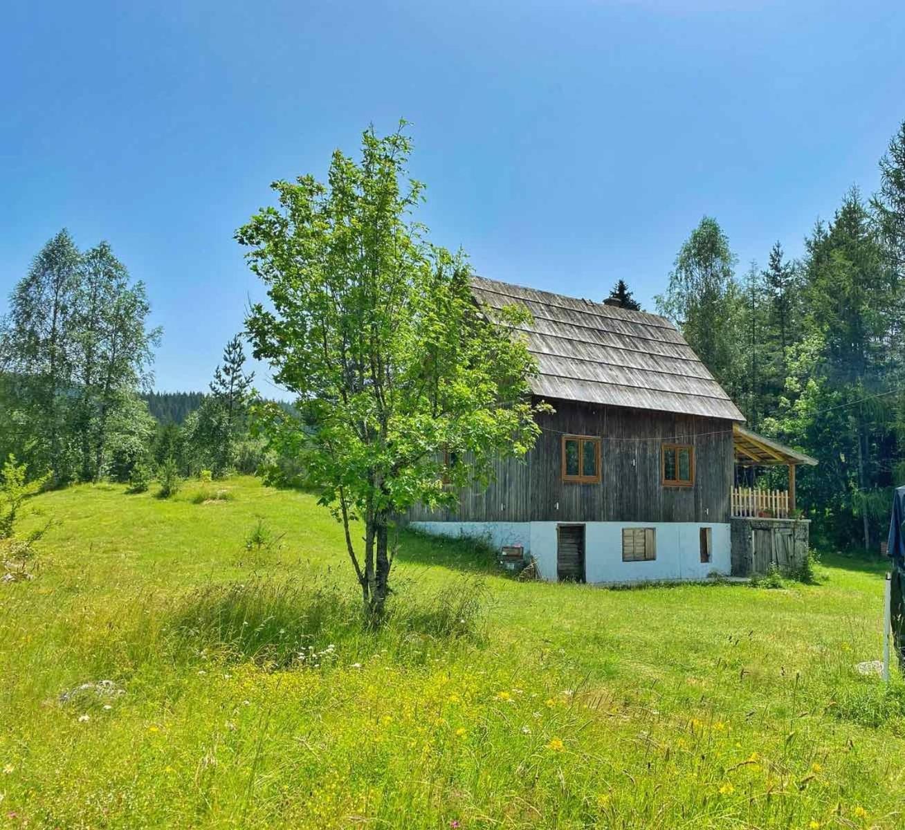 Vukov Konak - Wolf'S Lodge Žabljak Eksteriør billede