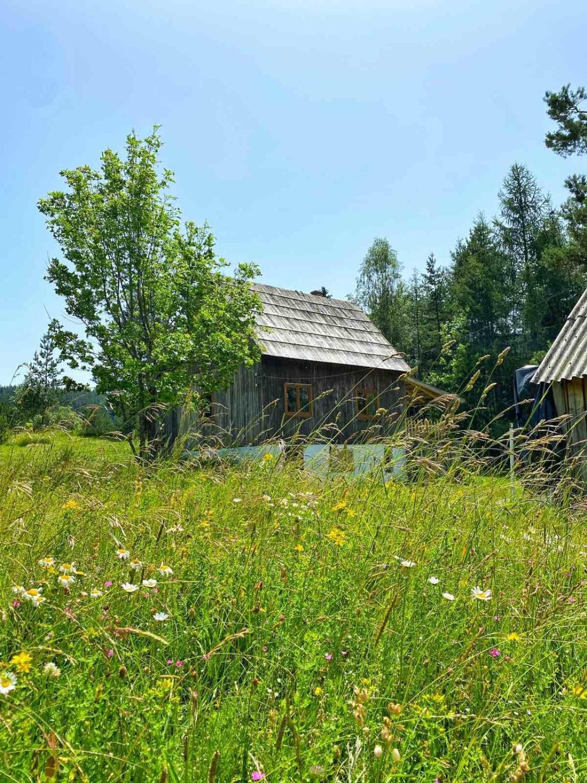 Vukov Konak - Wolf'S Lodge Žabljak Eksteriør billede