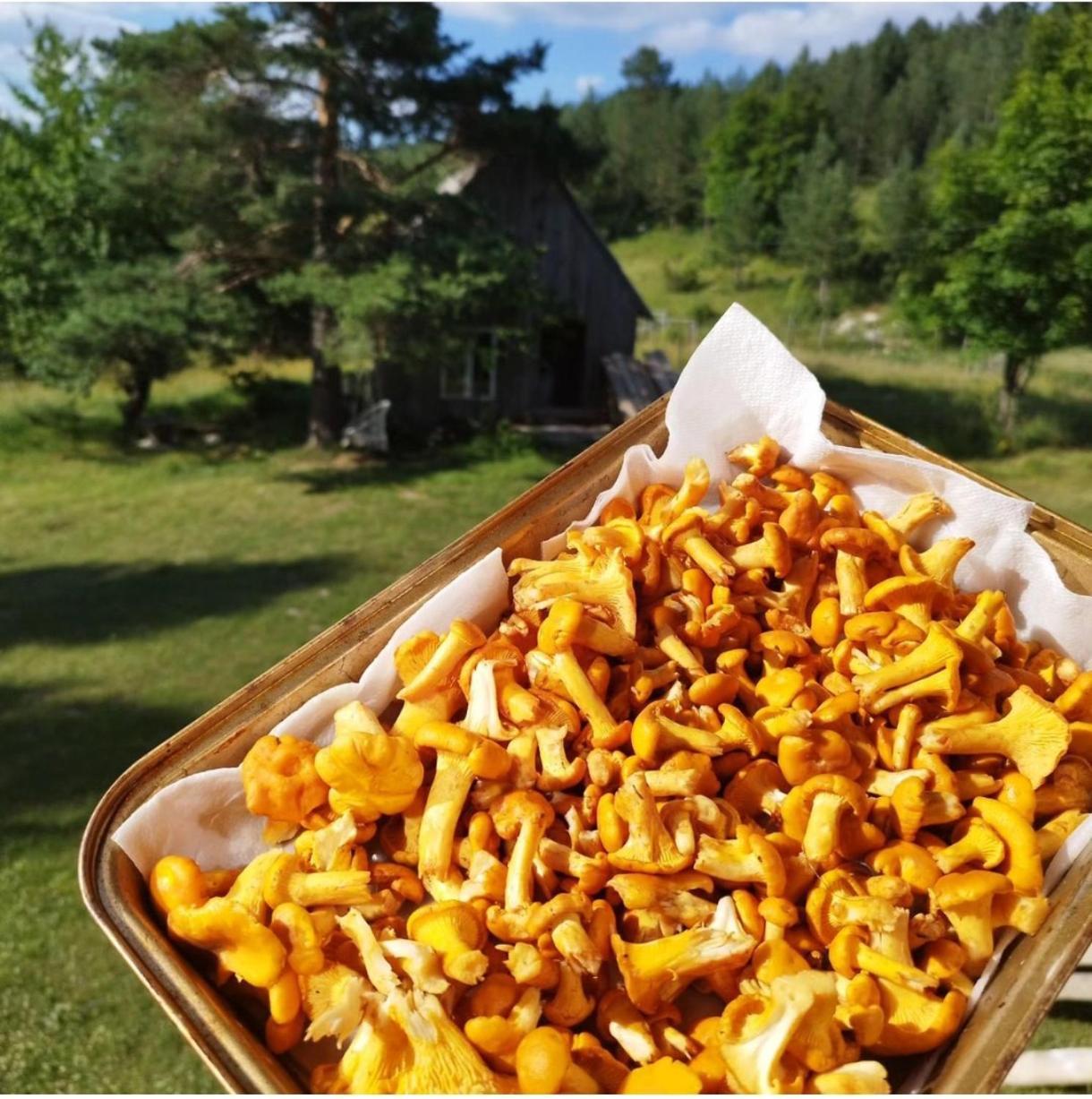Vukov Konak - Wolf'S Lodge Žabljak Eksteriør billede