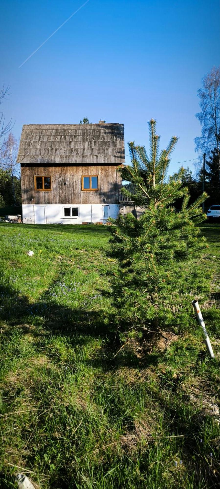 Vukov Konak - Wolf'S Lodge Žabljak Eksteriør billede