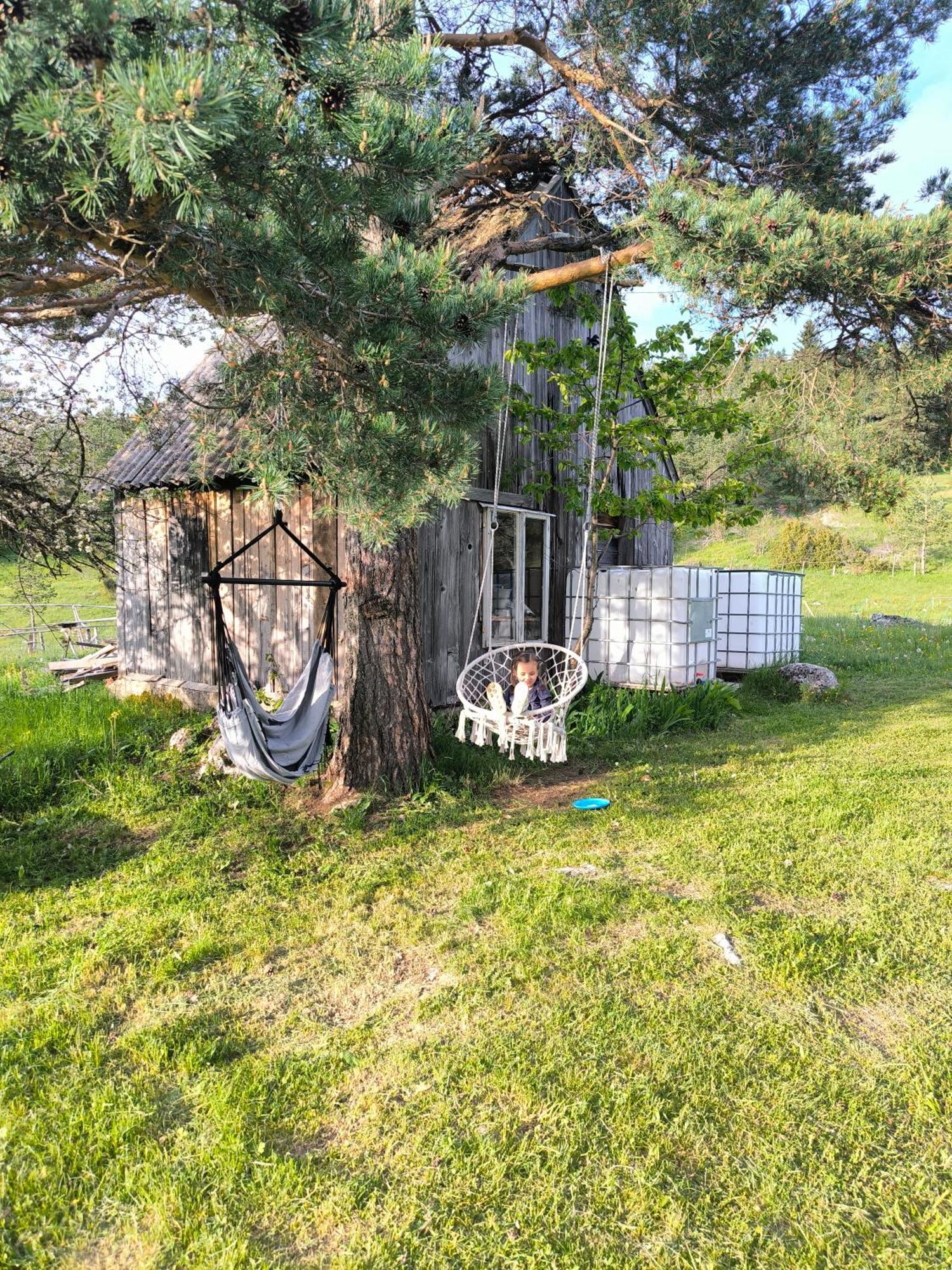 Vukov Konak - Wolf'S Lodge Žabljak Eksteriør billede